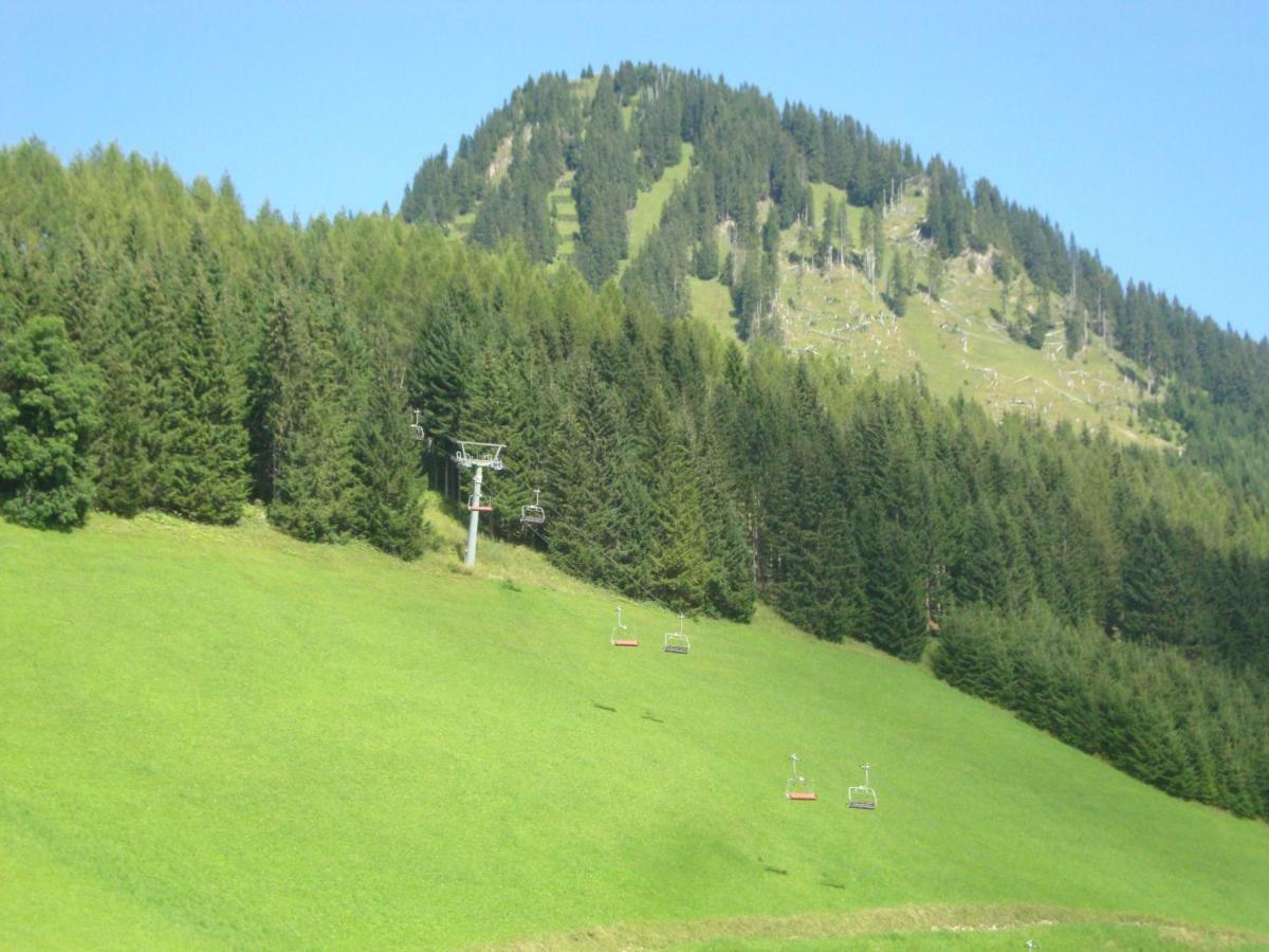 Berwang Chalets - Enzian Dış mekan fotoğraf